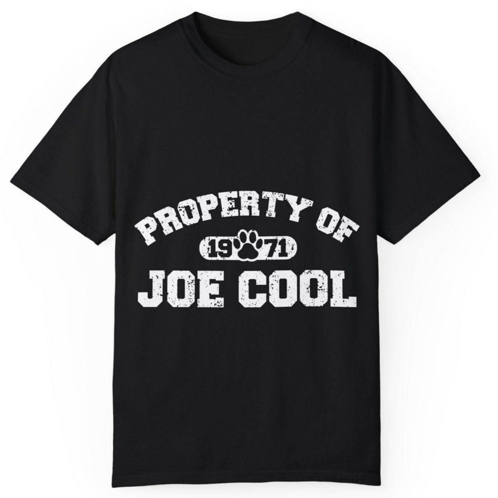 Joe Cool College T-shirt Comfort Colors